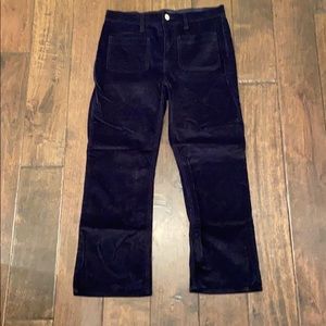 J crew stretch velvet cropped pant - NAVY